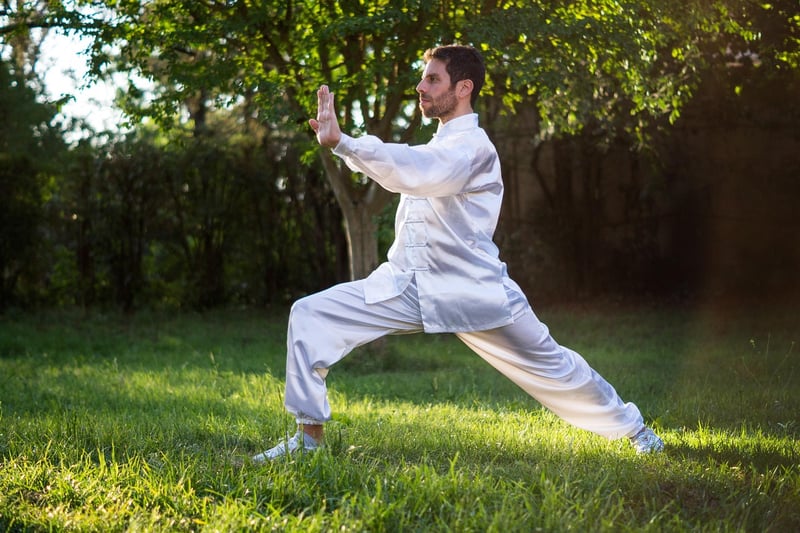 Wu Style Tai Chi Image